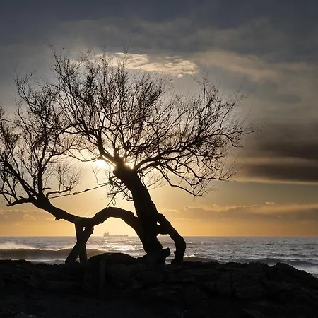 Libeccio N 5 Vacanze *